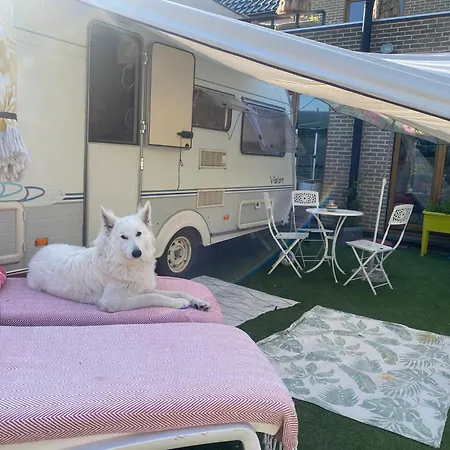 Кемпинг Gardencaravan Near In Area Гент