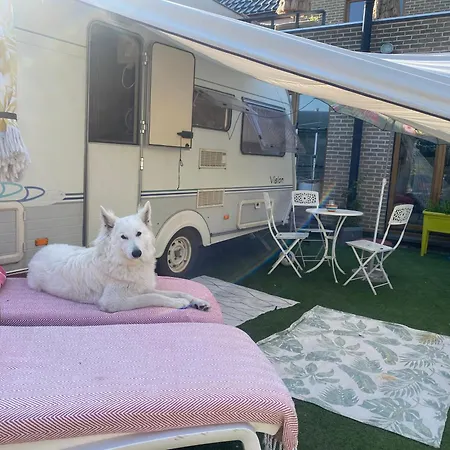 Camping Gardencaravan Near In Area Gent