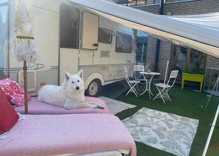 Camping Gardencaravan Near In Area Gante
